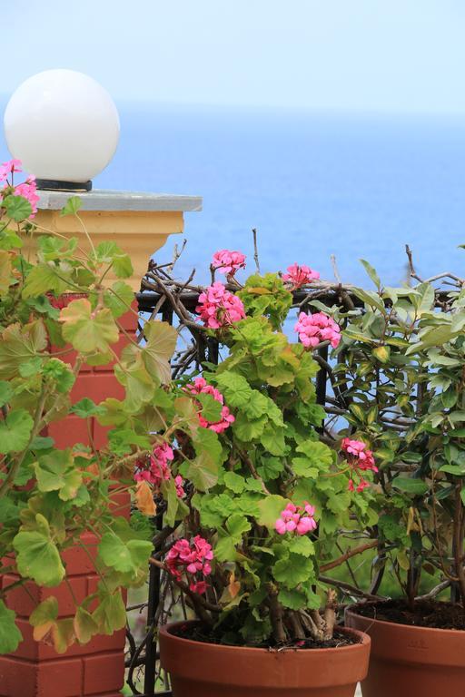 Aris Paramonas (Corfu)